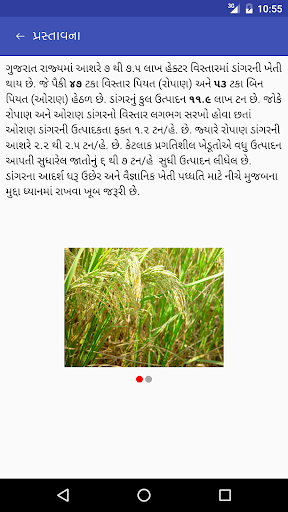 રોપાણ ડાંગરની આધુનિક ખેતી Screen 3