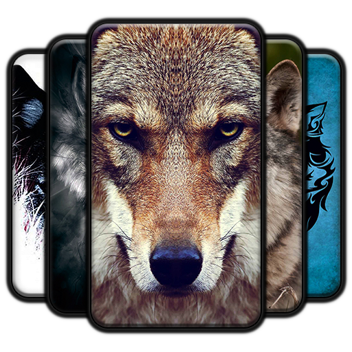 Wolf Wallpapers 1.3 Icon