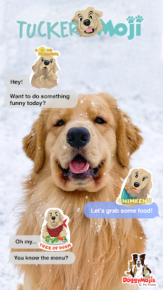 TuckerMoji - Golden Dog Stickeのおすすめ画像1