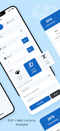 TDEE Calculator: Daily Calorie Screen 2