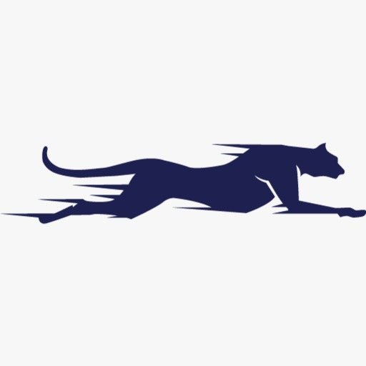 Transenvios logo
