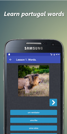 Portuguese conjugation Screen 2