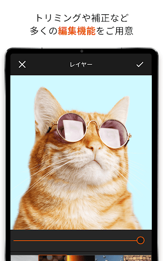 写真クラウド screenshot 11