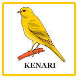 Kicau Kenari icon