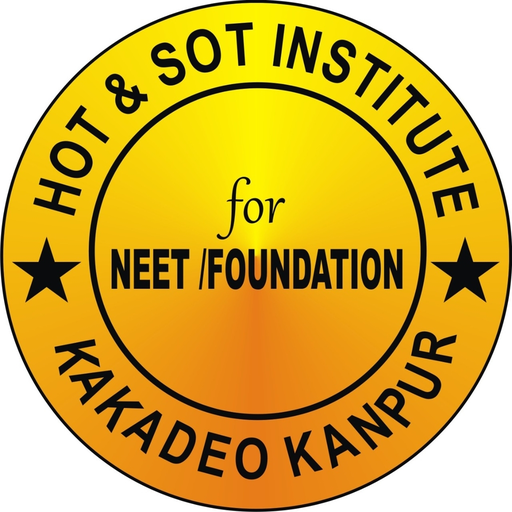 HOT & SOT Institute logo
