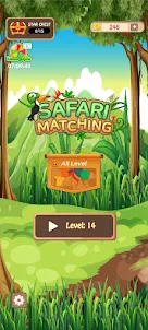 Safari Matching