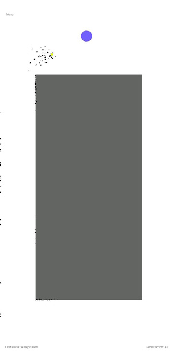 Neural Network Training