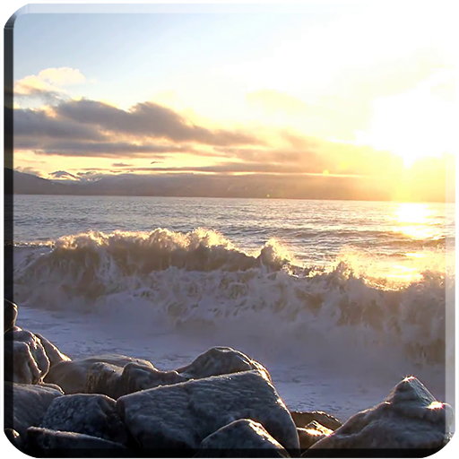 Waves on Rocks Video Wallpaper logo