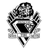 PM Lions icon