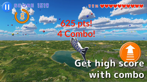 Flying Carp Screen 2
