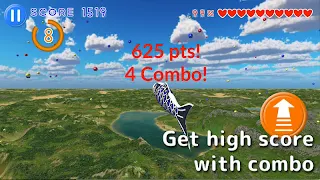 Flying Carp - Screenshot 2