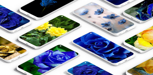 Blue Golden Rose Wallpaper : HD 1.0 APK + Mod (Free purchase) for Android