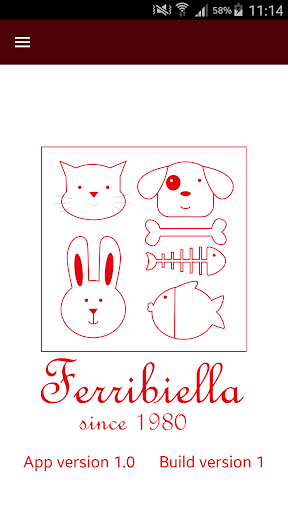 Anteprima dell'app