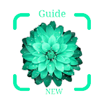Cover Image of Descargar Guide for Picture flower’s Identification plants 1.0.0 APK