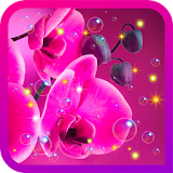 Orchid Flowers live wallpaper icon