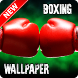 Boxing Wallpaper icon