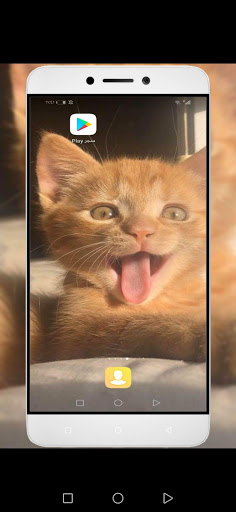 صور قطط كيوت ومضحكة Screen 3