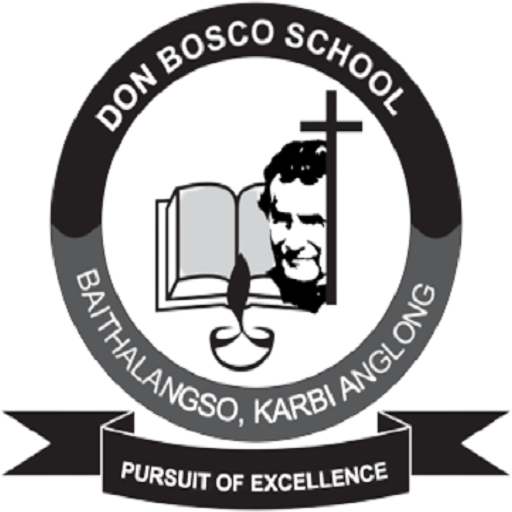 Don Bosco School Baithalangso logo