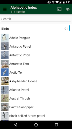 Antarctic Wildlife Guide Screenshot
