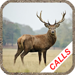 Deer hunting calls Apk