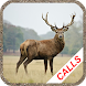 Deer hunting calls - Androidアプリ