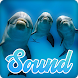 Dolphin Sounds Effect - Androidアプリ