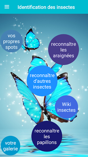 Insect Identification Screen 2
