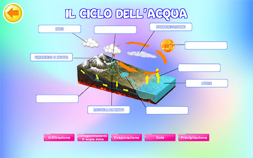 Play ARS Screen 3
