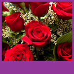 Cover Image of 下载 Roses Live Wallpapers 1.7 APK