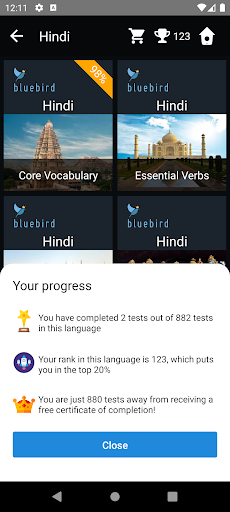 Hindi Language Tests Screen 3