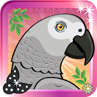 Fancy Parrot Dress Up Game