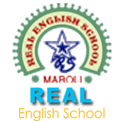 REAL ENG. SCHOOL INTERNATIONAL logo