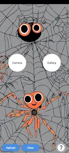 Spider Camera -IdentifySpiders