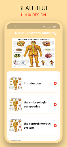 Screenshot of BioVerse: Anatomy & Physiology