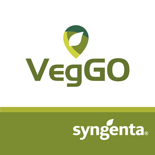 Veggo iberia logo