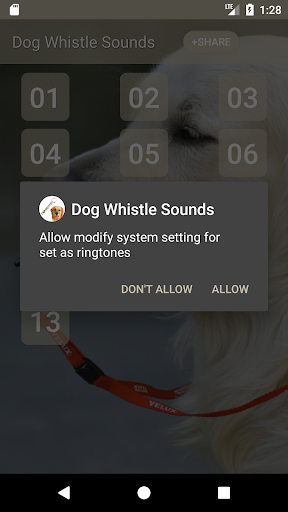 Dog Whistle Sounds Screen 3