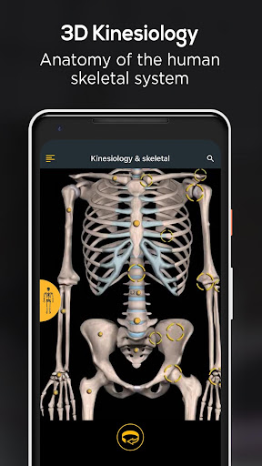 Screenshot of Anatomy by Muscle & Motion