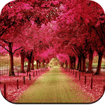 Cover Image of डाउनलोड Beautiful Spring Wallpaper  APK