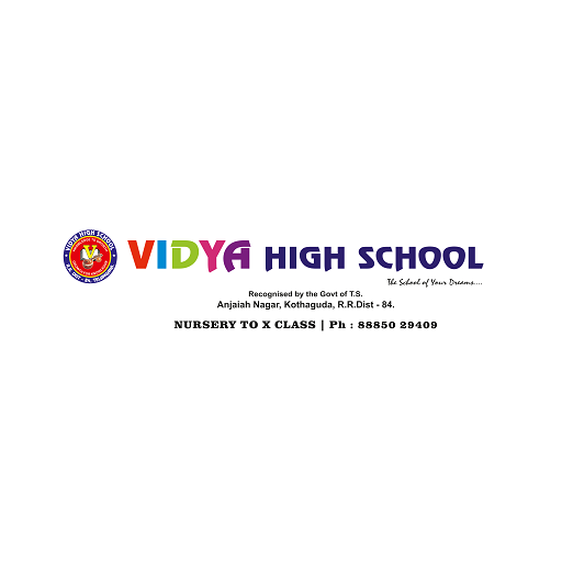 Vidya High School logo