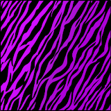 Purple Zebra Keyboard Skin icon