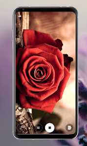 Captura 6 Rose Mobile Wallpapers android