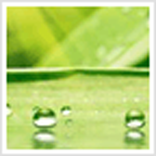 Green Leaves Theme  Icon