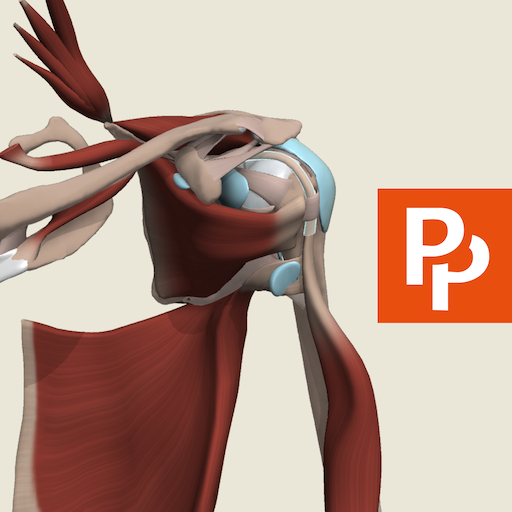 Primal's 3D Shoulder & Arm 3.8.1 Icon