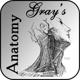 Gray's Anatomy 2012 icon