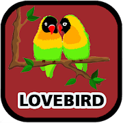Kicau Lovebird Mp3 Offline