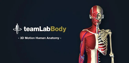 3D運動解剖学 teamLabBody