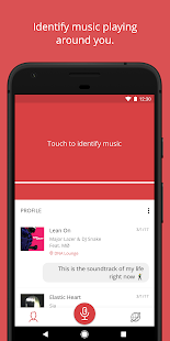 MusicID Screenshot