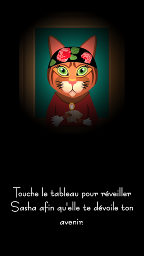 Aperçu de l'application