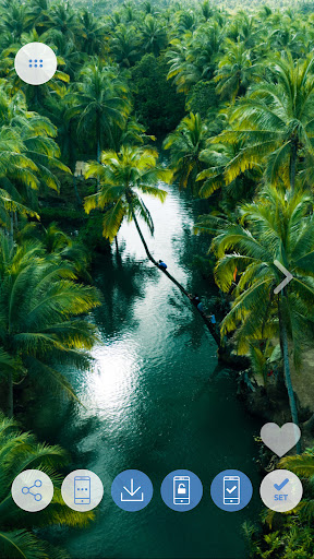 Your Forest wallpapers 4K Screen 3