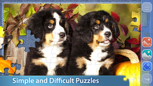 Jigsaw Puzzles: Puzzle Club ekran görüntüsü